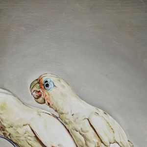 oiseau de cage et de volière (15) 30x242020 huile sur bois