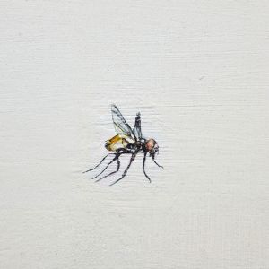 mouche dans un paysage (détail)